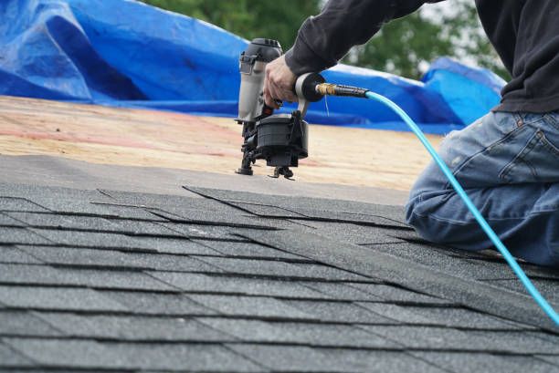 Best Storm Damage Roof Repair  in Rocky Top, TN